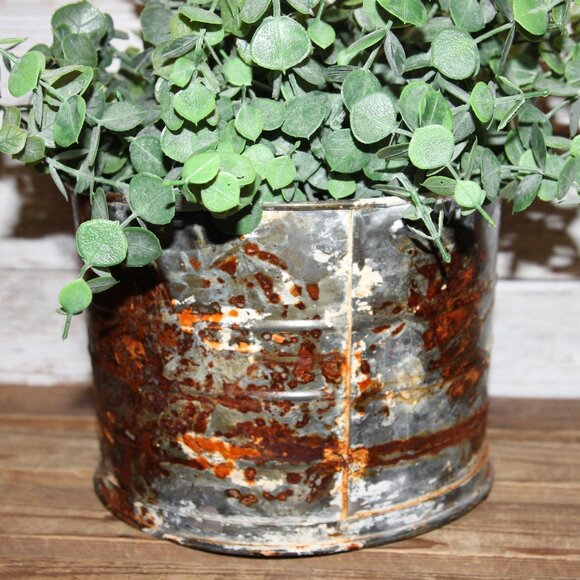 Large Chippy Rusty Aged & Weathered Farmhouse Metal Bucket Pot with Eucalyptus - Picture 5 of 5